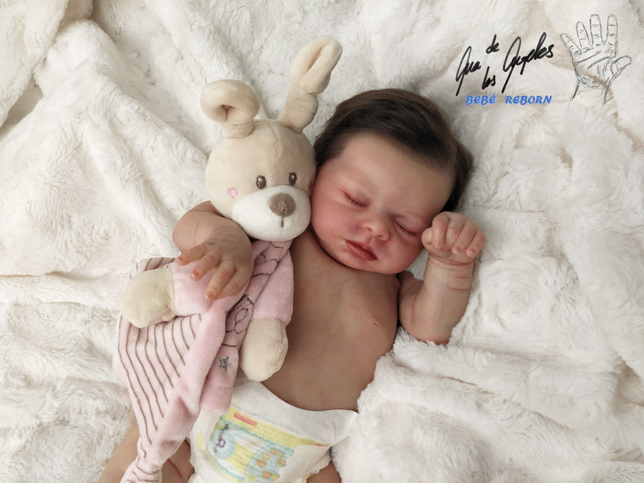 Isabella by Nikki Johnston