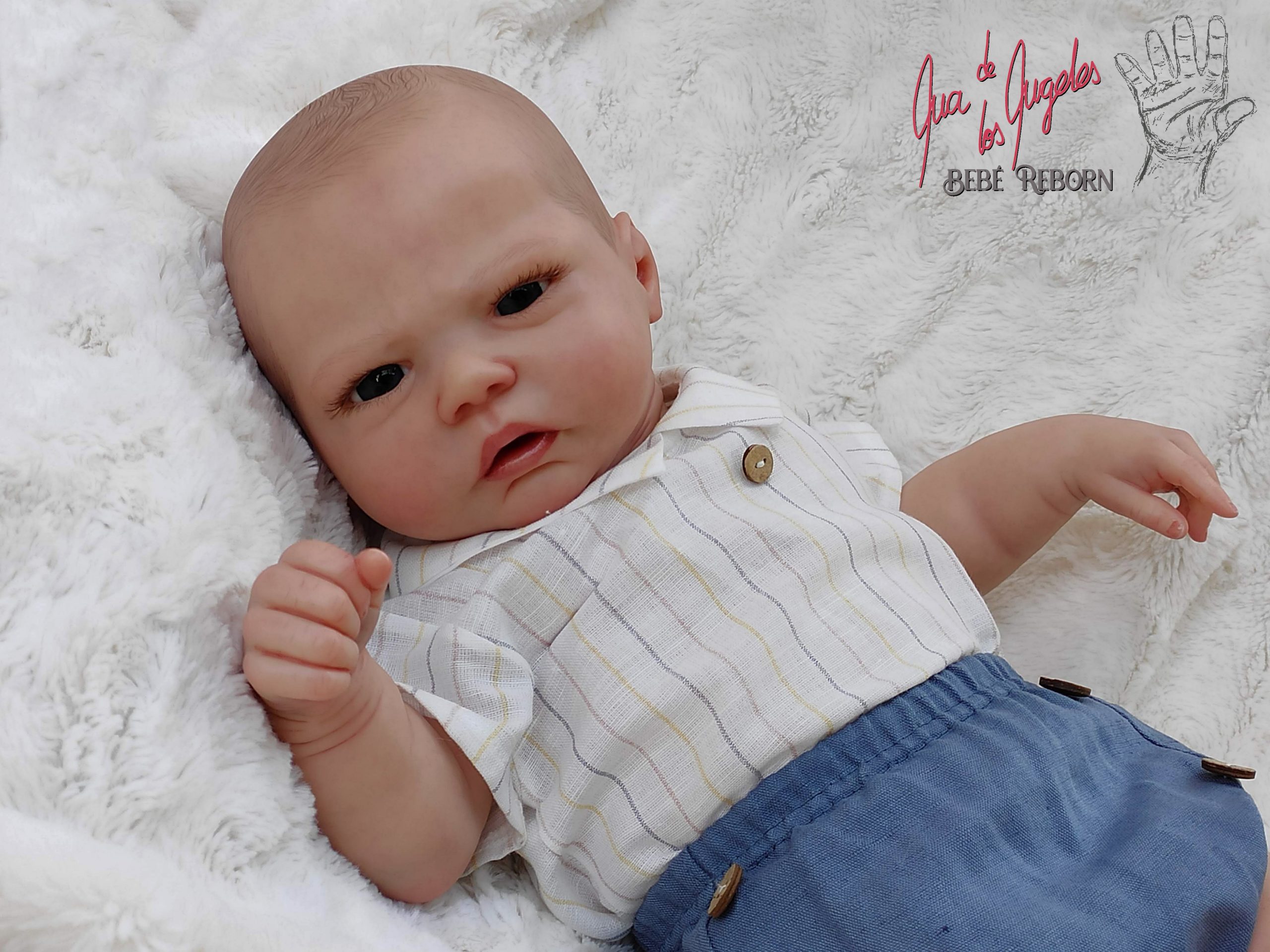 Robin by Nikki Johnston